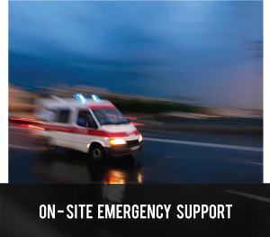 On-Site Emergency Support